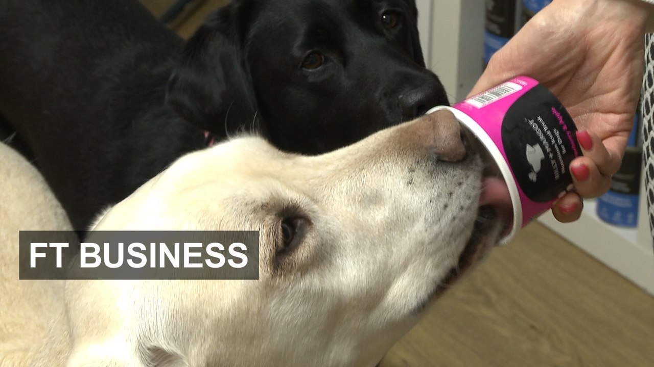 Pet food goes posh