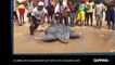 Aidée par des villageois au Libéria, une tortue luth regagne la mer, la séquence émouvante (vidéo)