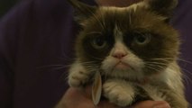 Grumpy Cat Treats Fans at SXSW
