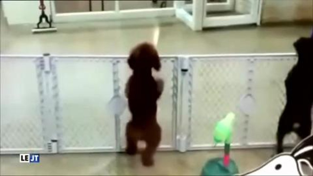 Retour Emilie Besse à la nouvelle edition