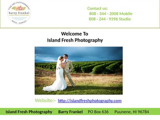 Photographers in maui