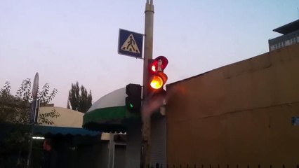 Котэ провоцирует ДТП