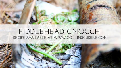 Gourmet Outdoors "Fiddlehead Gnocchi" with Chef Jonathan Collins