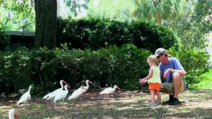 best prank Father and Daughter Feeding the Animals