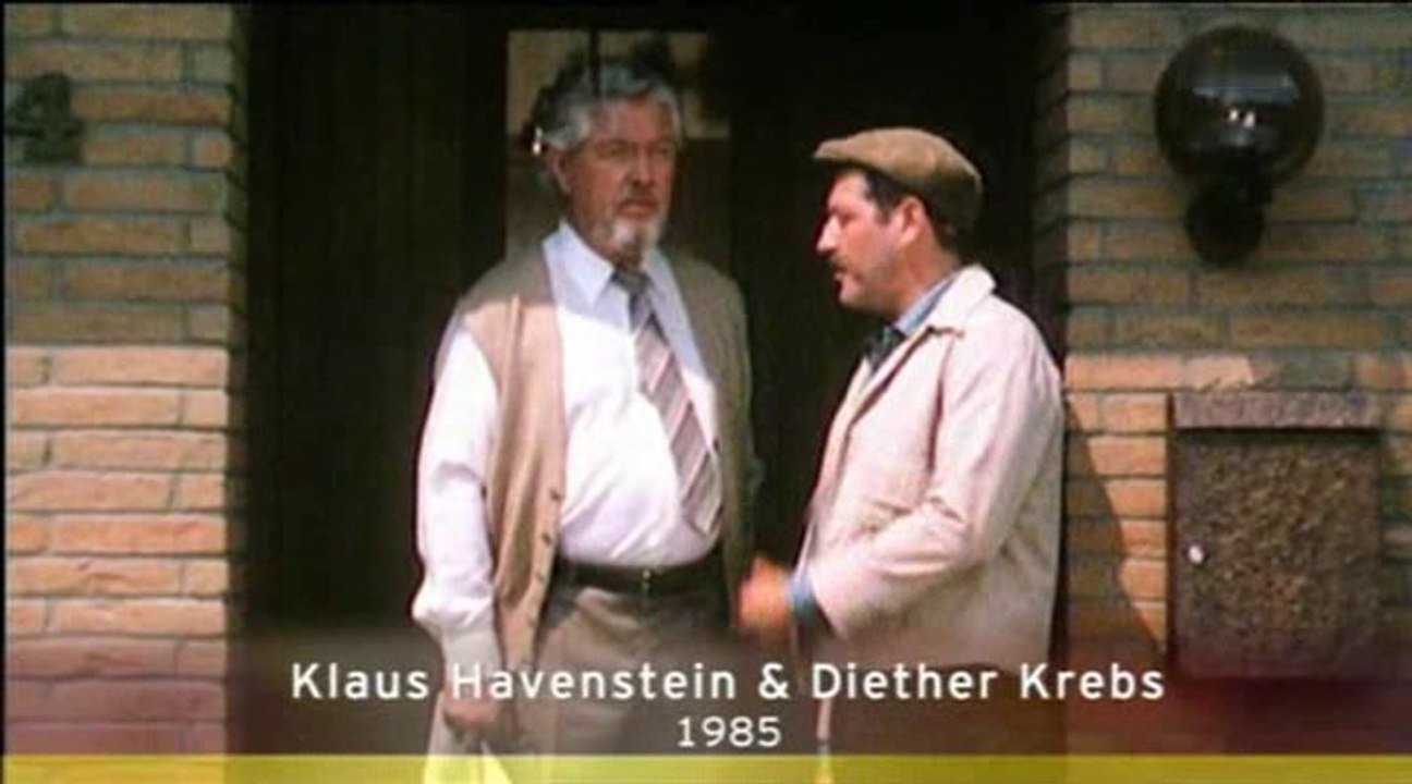 Diether krebs & klaus havenstein - schwarzarbeit 1990