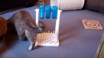Trixie Cat Activity Turn Around, juguete para gatos