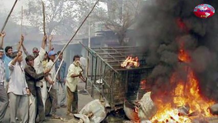 Mumbai- Miscreants Shouting MNS Slogans Burn Auto In Andheri