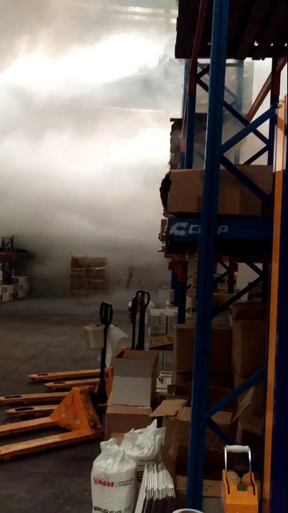 Pest Fumigation And Pest Removal In Melbourne