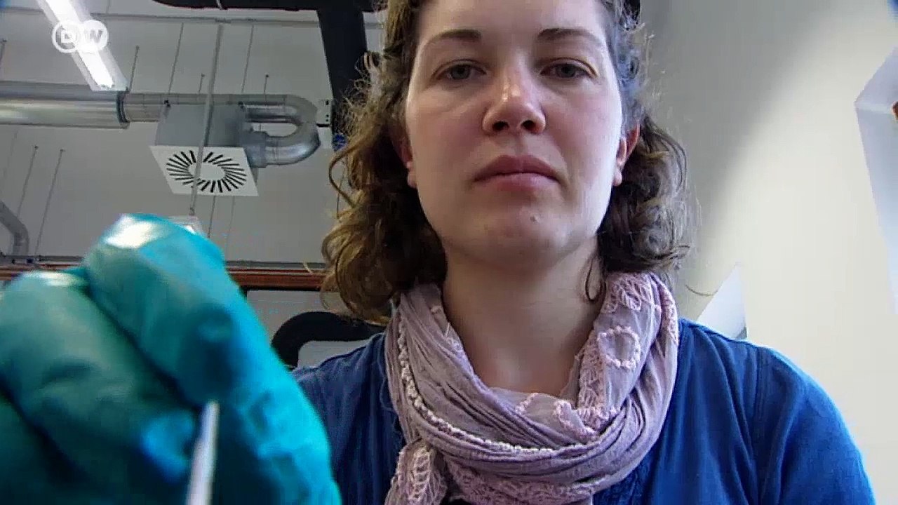 Kluge Köpfe: Elizabeth Green | Projekt Zukunft