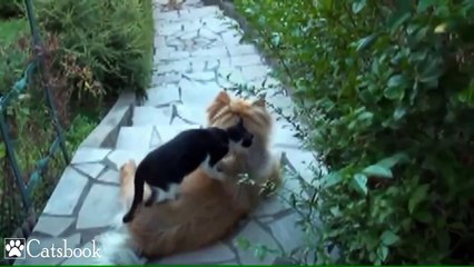 광주.상무.출장마사지.안마 OIO-5278-8288 [건전마사지]