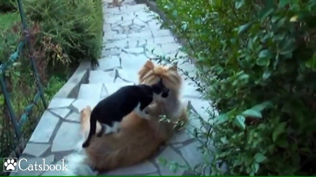 광주.상무.출장마사지.안마 OIO-5278-8288 [건전마사지]