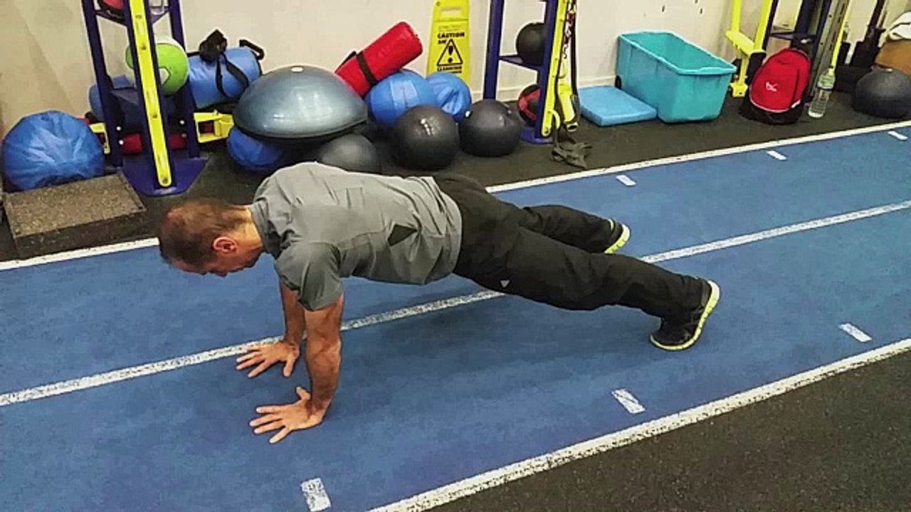 Plank (Contralateral)
