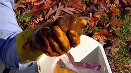 สารคดี ดาวหางพุ่งชนโลกและนวัตกรรมการป้องกัน HD