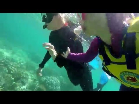 3-Year-Old Goes for First Snorkel at Great Barrier Reef
