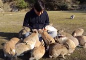 Cuddly Rabbits Swarm Tourist for Carrots