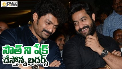 Nandamuri Brothers NTR and Kalyan Ram Shaking South India - Filmyfocus.com