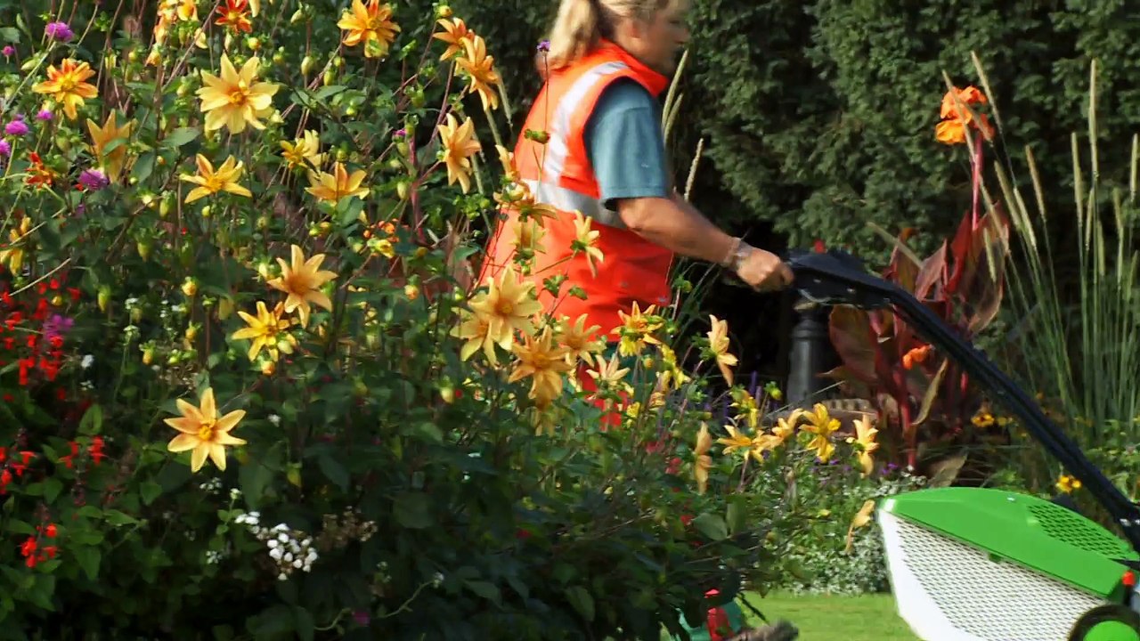 Tondeuse à gazon professionnelle ETESIA Pro 46