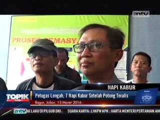 Petugas Lengah, 7 Napi Kabur Setelah Potong Teralis