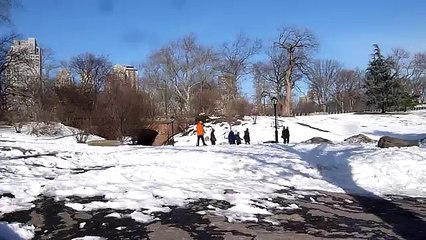 ^Live Football^ Mornar Bar V Mladost Podgorica  Prva Crnogorska Liga Football Match (News World)