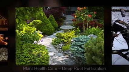 Long Island Tree Service