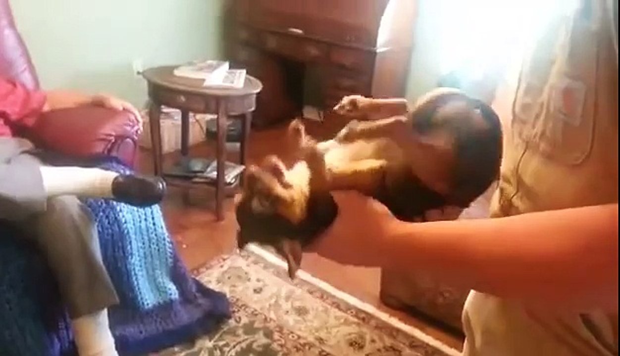 Every Time He Picks Up This Dog The Room Erupts In Laughter. The Dog’s Reaction Is The Best!