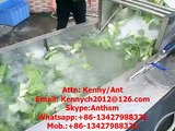QX-32 cabbage spinach lettuce  washing machine, washer, cleaner, air bubble washing cleaning machine