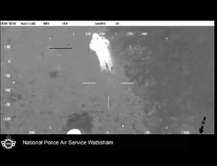 What a best friend - dog stays by owner's side for hours after he gets stuck in a bog