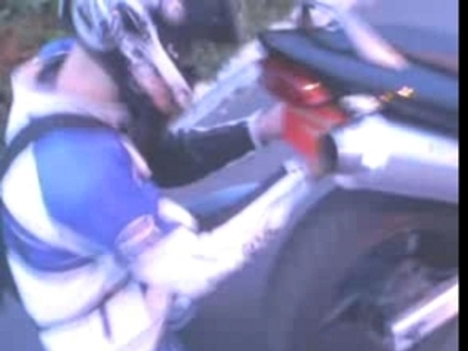 Jean-louis 600 hornett