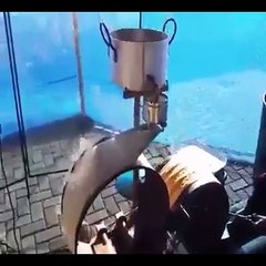 Wow check bread machine good job