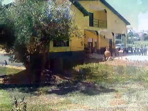 Lar de Idosos - Casa de Repouso - Lar Pelariga - Pombal