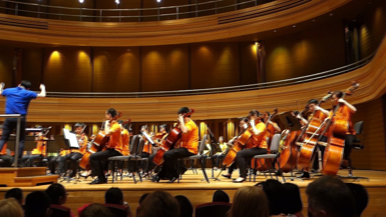 Yong Siew Tow Orchestra Playing Theme from Harry Potter National University of Singapore