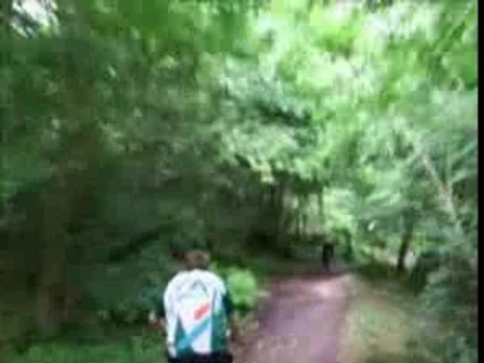 VTT la Roche-bernard