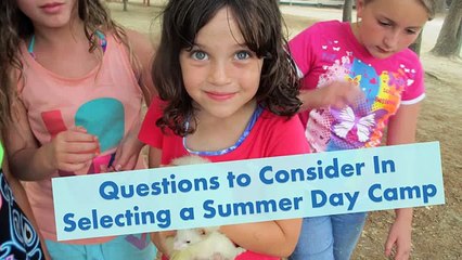 Questions to Consider In Selecting a Summer Day Camp
