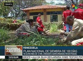 Más de 12 mil unidades agrourbanas se han registrado en Venezuela
