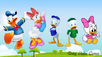 Disney Donald Duck Nursery Rhymes Finger Family Song