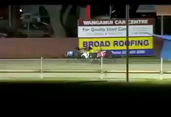 dog wins from last place