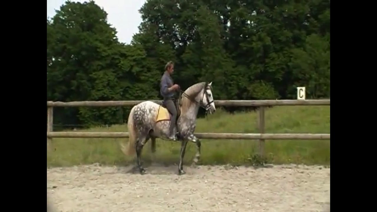 hanche