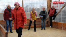 Vannes. La boule bretonne fait du bruit