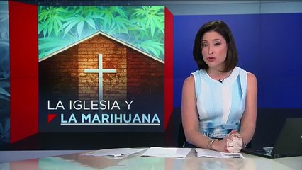 Iglesia católica en México debatió sobre el tema de la marihuana