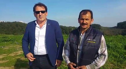 avcılar poligon istiyor