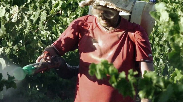 J'VOUS PREVIENS C'EST PAS GAI - teaser