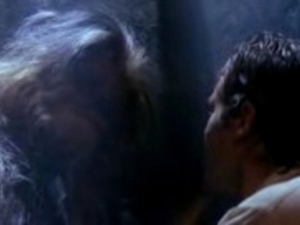 Chewbacca.se.sent.solo
