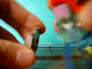 Mr Taill' crayon and co' (3)