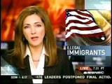 Federation for American Immigration Reform President Dan Stein MSNBC May 22
