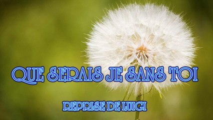 QUE SERAIS JE SANS TOI  ( REPRISE )