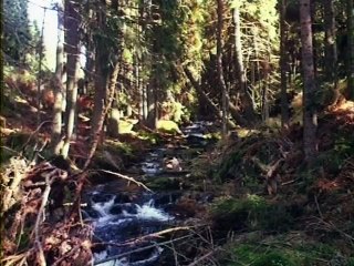 La Moldau - La Fiancée Vendue - Peer Gynt Suite