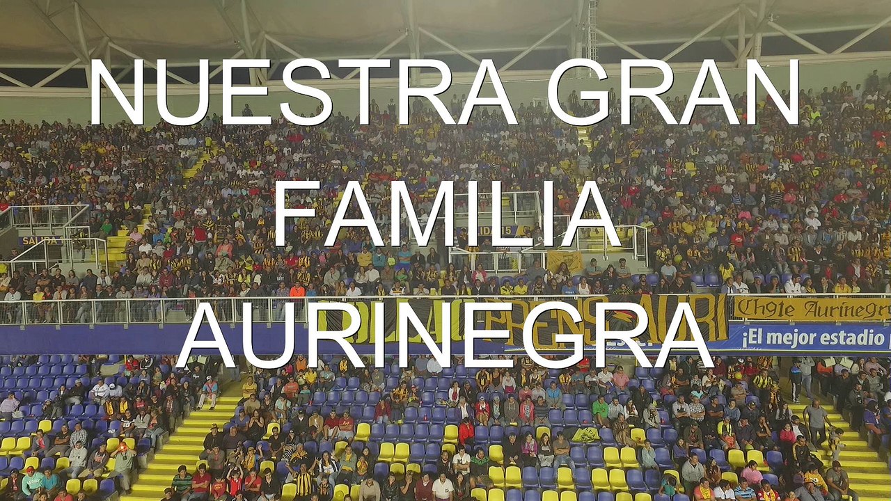 noche aurinegra