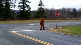 bucky the canaan valley deer3