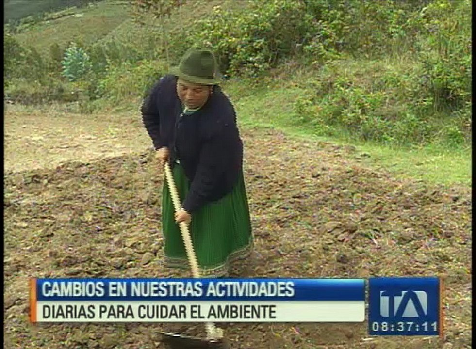 Cambios en nuestras actividades diarias para cuidar el medio ambiente
