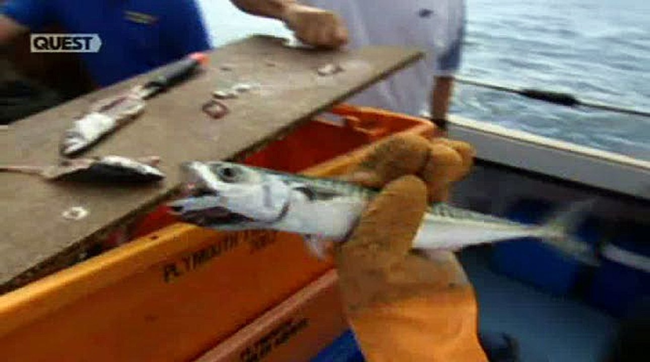 Total Fishing - S02E08 - Mullet In Plymouth